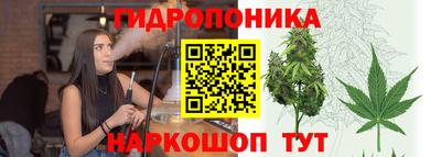 эйфоретик Можга