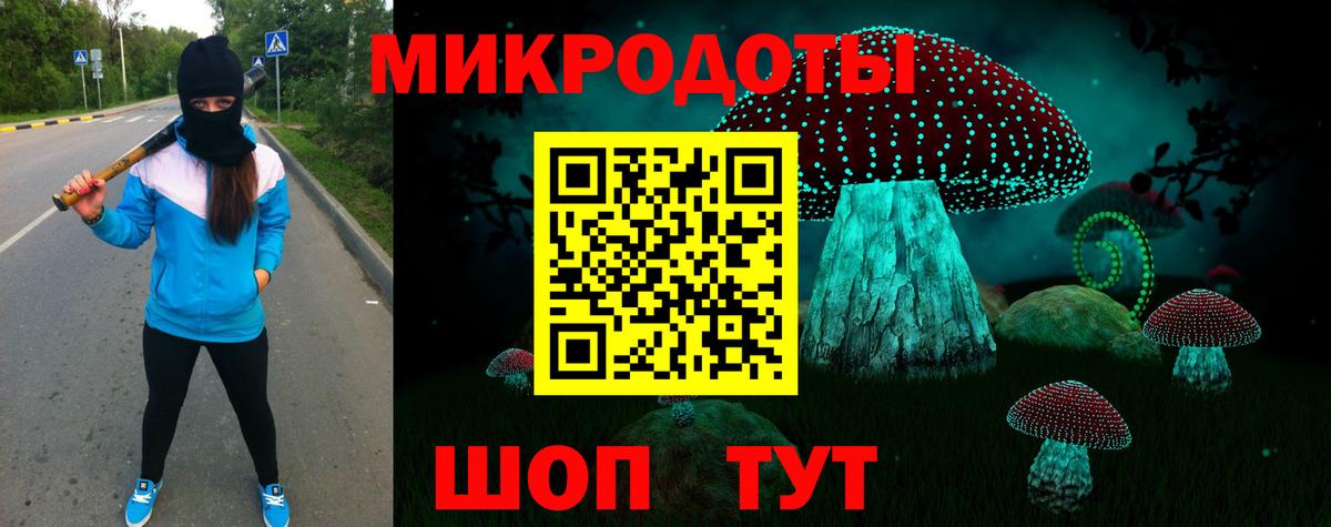 Грозный  купить наркотик  Галлюциногенные грибы прущие грибы  Вход с VPN  Галлюциногенные грибы мицелий 